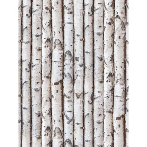 Birch Wall Printed Backdrop