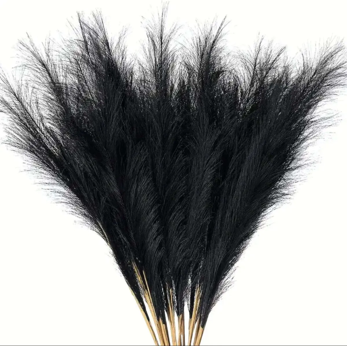 Black Faux Pampas Grass 15 stems