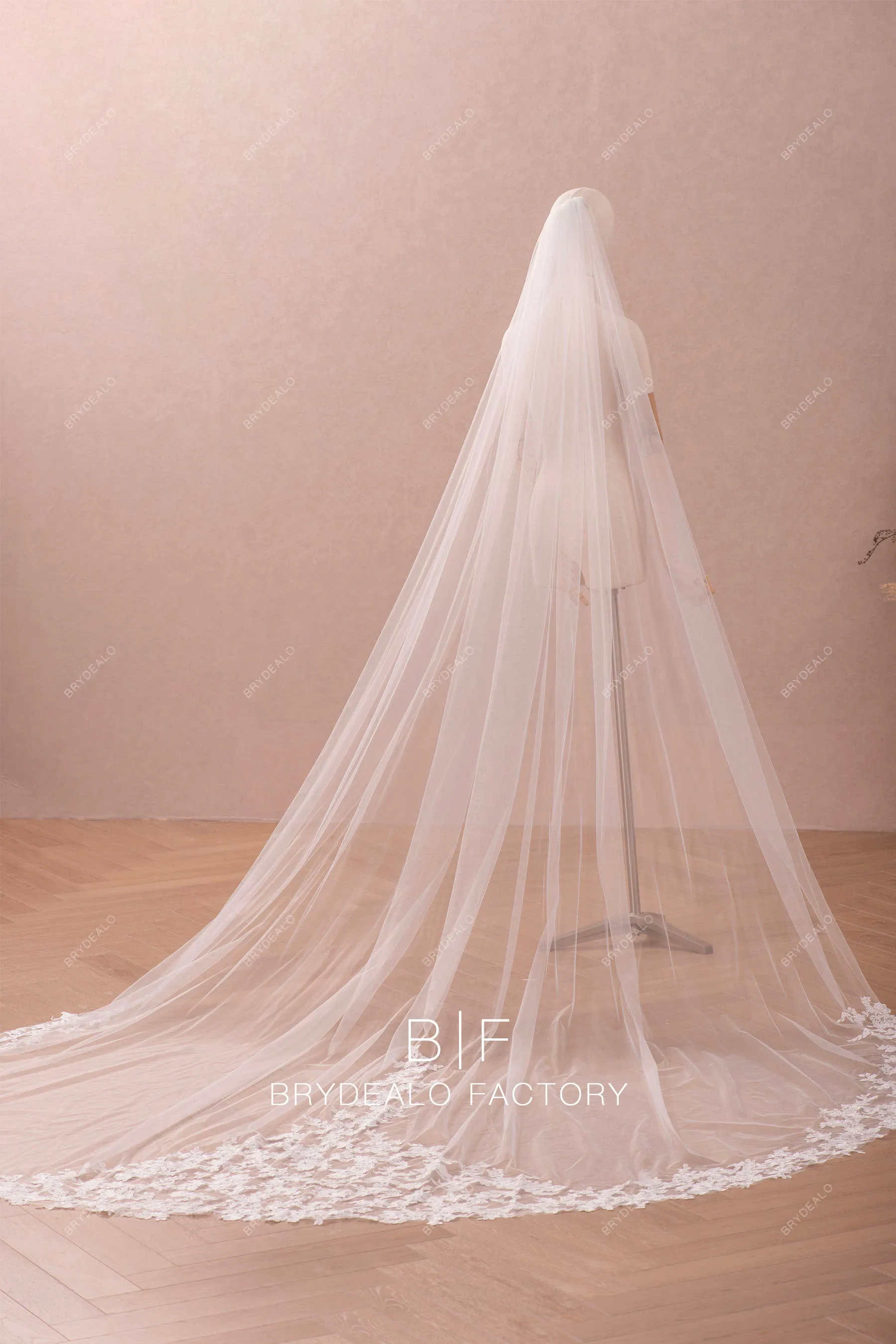 Cathedral Length Tulle Veil with Elegant Lace Edging