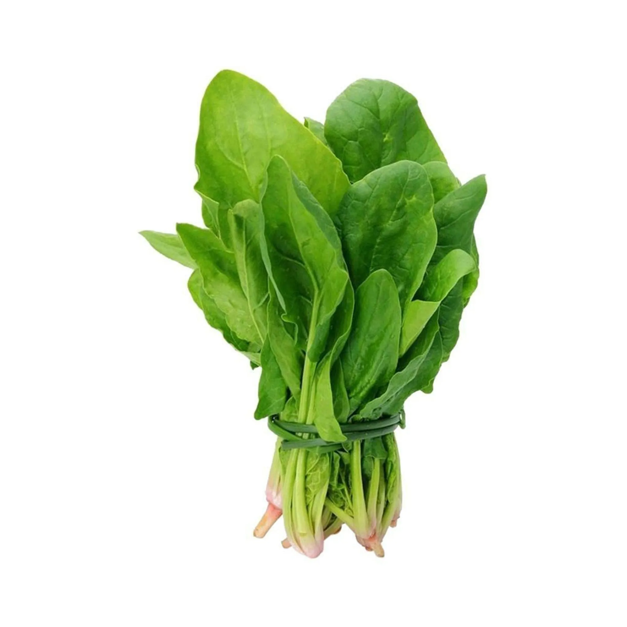 Koosto (Fresh Spinach) 1Kg.