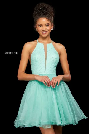 Sherri Hill 53075 Dress